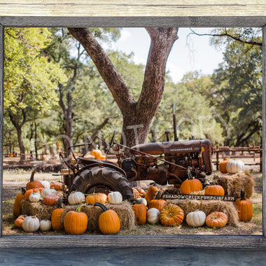 Pumpkin Tractor Canvas Print Framed or Unframed