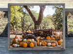 Pumpkin Tractor Canvas Print Framed or Unframed