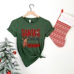 Santa's Favorite Granny DTF Transfer