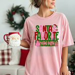 Santa’s Favorite Postal Worker DTF Transfer (S&G)