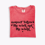 Suspect Follows the Word not the World DTF Transfer