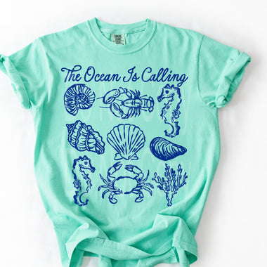 the Ocean is Calling Single Color Screen V42
