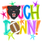 Touchdown Panthers DTF Transfer (CC)