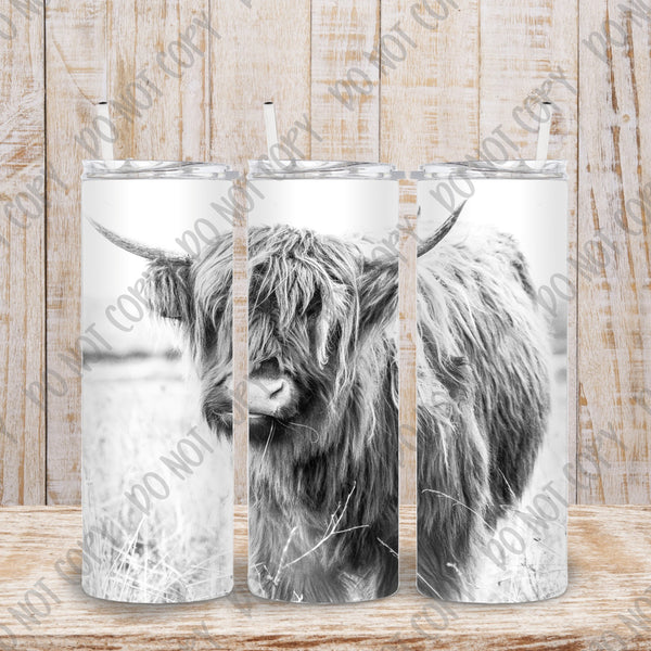Highland Cow 20oz Skinny Tumbler with Lid and Plastic Straw