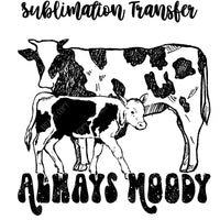 Always Moody Sublimation Transfer