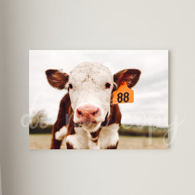 Baby Cow 88 Tag Printed Canvas