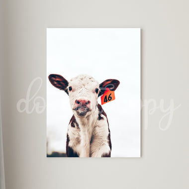 Baby Cow 46 Tag Printed Canvas