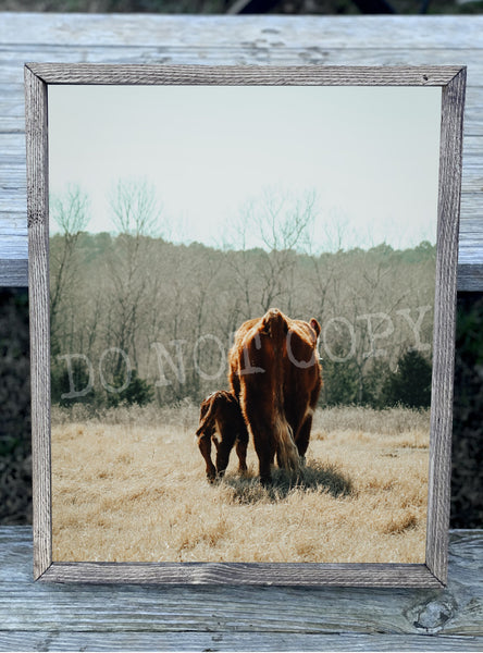 Back Cow Baby and Mom Canvas Print Framed or Unframed