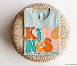 Kindness Cost Nothing Screen Print High Heat Transfer S51