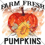 Farm Fresh Pumpkins Sublimation Transfer