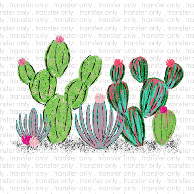 Watercolor Cactus Sublimation Transfer