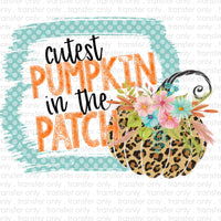 Cutest Pumpkin in the Patch Sublimation Transfer