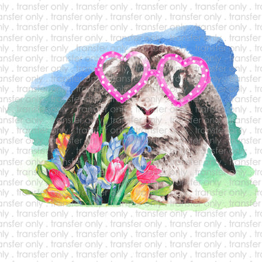 Rabbit Sunglasses Sublimation Transfer