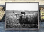 Black and White Highland Cow Canvas Print Framed or Unframed