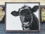 Black Cow Canvas Print Framed or Unframed