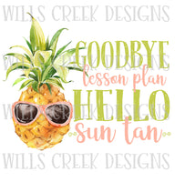 Goodbye Lesson Plan Hello Sun Tan Digital Download
