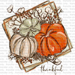 Thankful Painted Pumpkins Sublimation Transfer