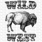 Wild West Sublimation Transfer